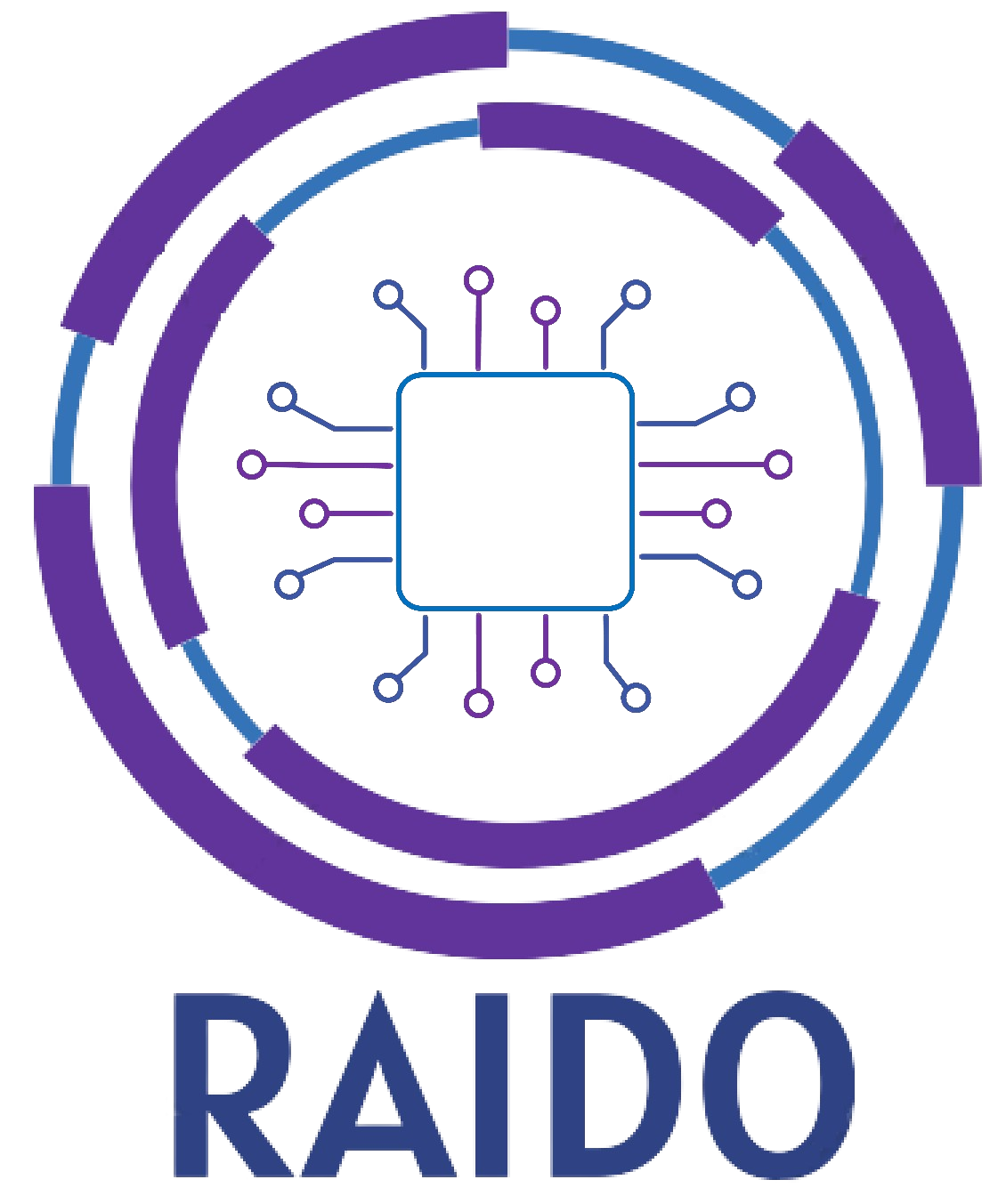 RAIDO Project